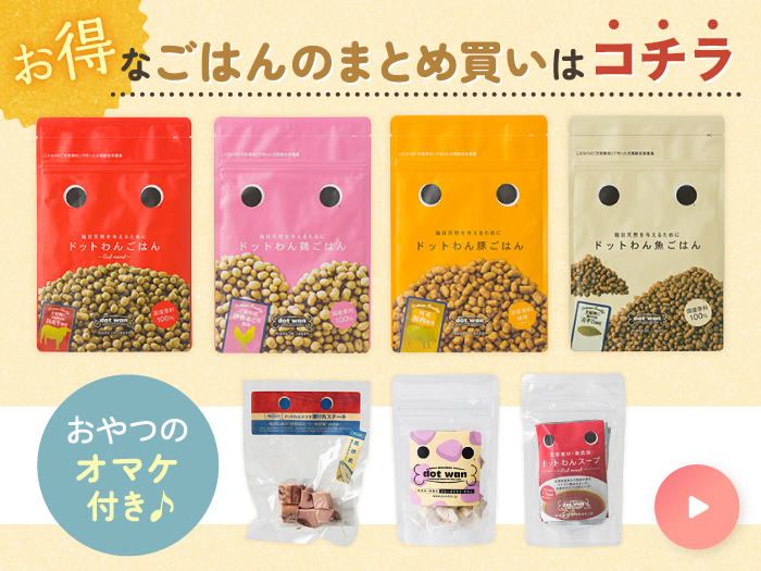 売店 ドットわん ドットわんスープ 4包