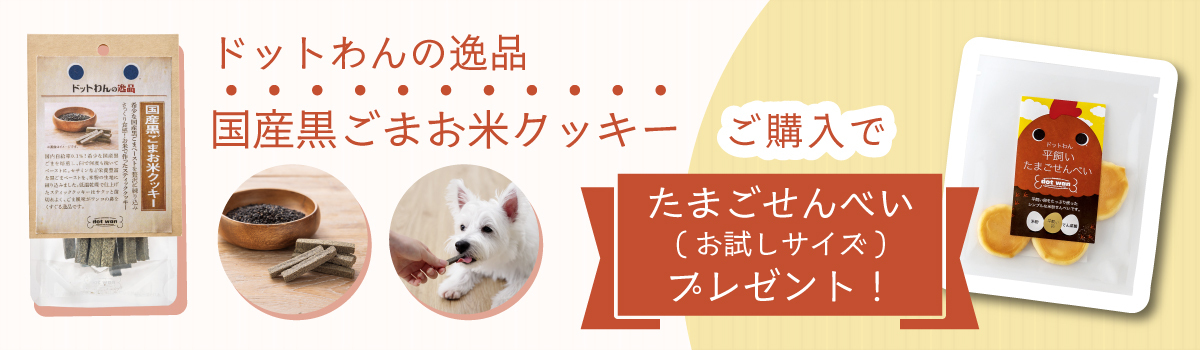 B_1200x350_黒ごませんべいcp-bnr.jpg