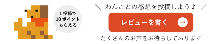 鶏ごはん3kgパック｜自然食ドッグフードのドットわん｜公式通販サイト