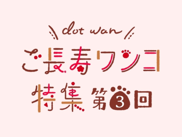 ご長寿わんこ