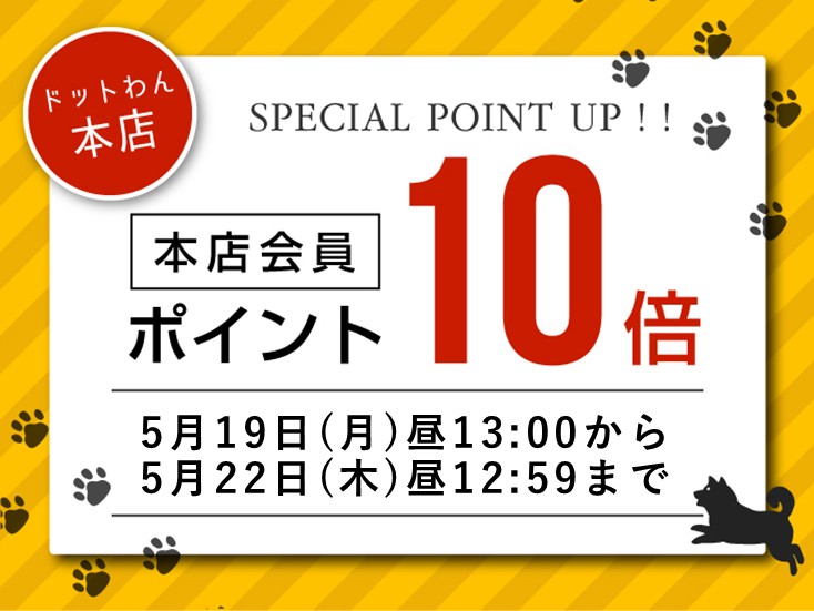 ポイント10倍