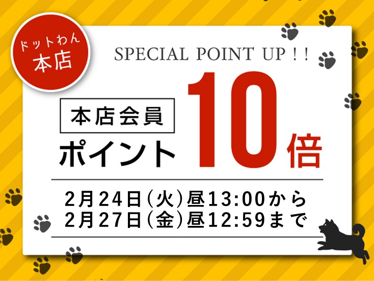ポイント10倍