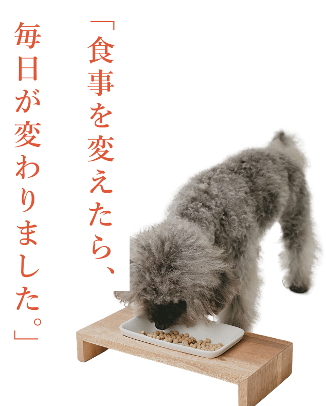 食事を変えたら、毎日が変わりました