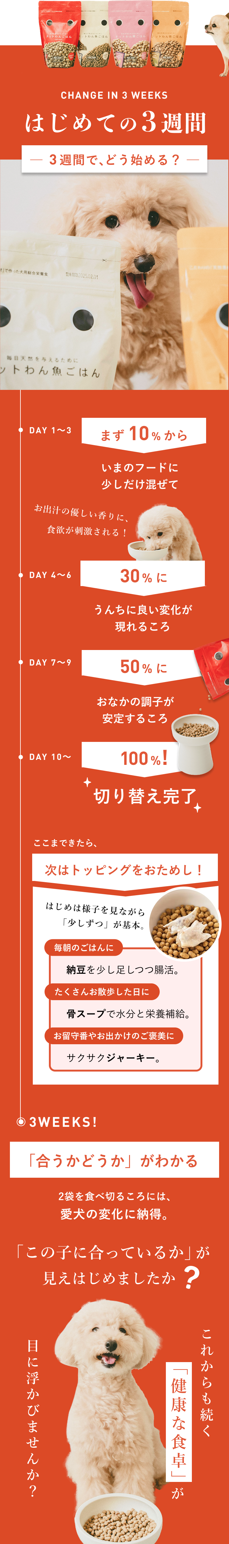 はじめての3週間