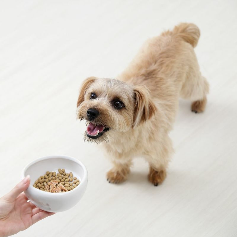 豚ごはん120g｜16種類の国産天然食材｜自然食ドッグフード｜ドットわん