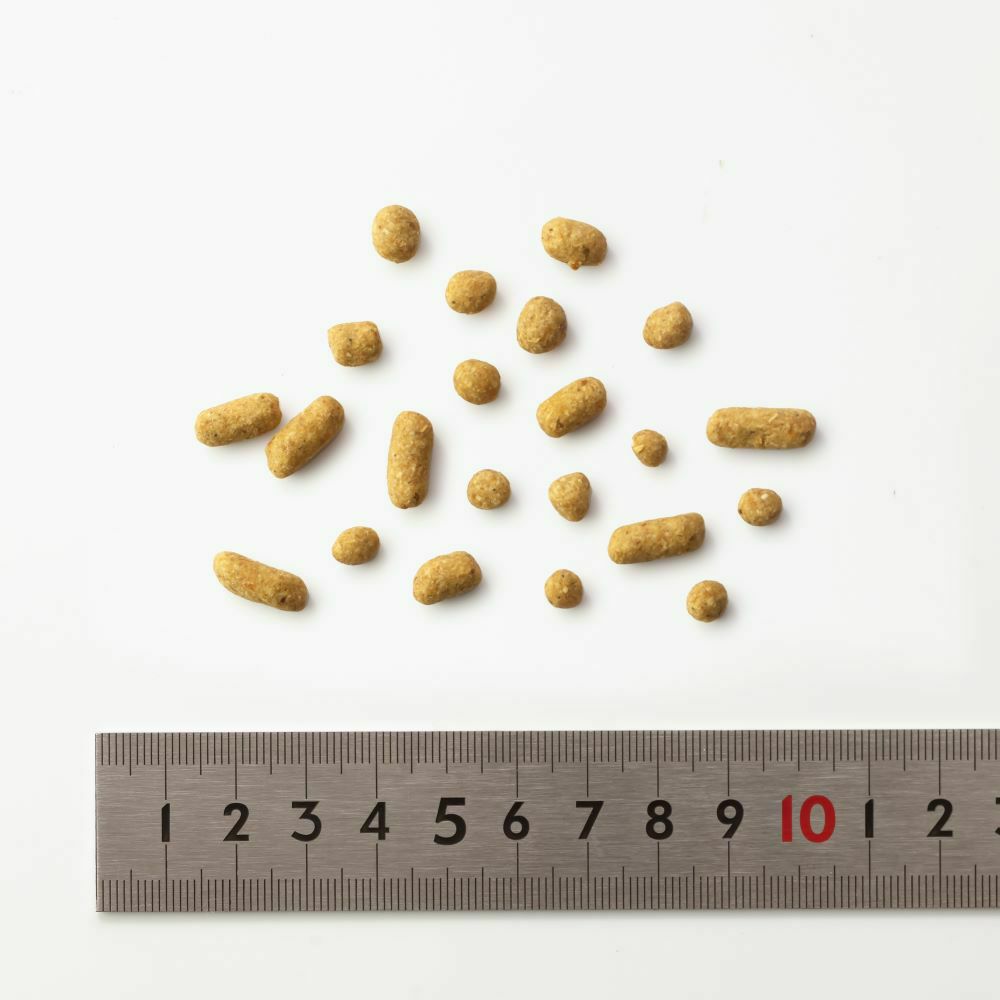 ドットわんごはん-Red mind-(120g)｜国産13種天然食材の総合栄養食