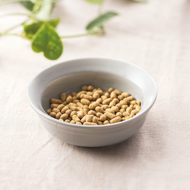 ごはん牛,鶏,豚,魚120g×4種セットの通販|自然食ドッグフード ごはん牛,鶏,豚,魚120g×4種セットの通販|自然食ドッグフード
