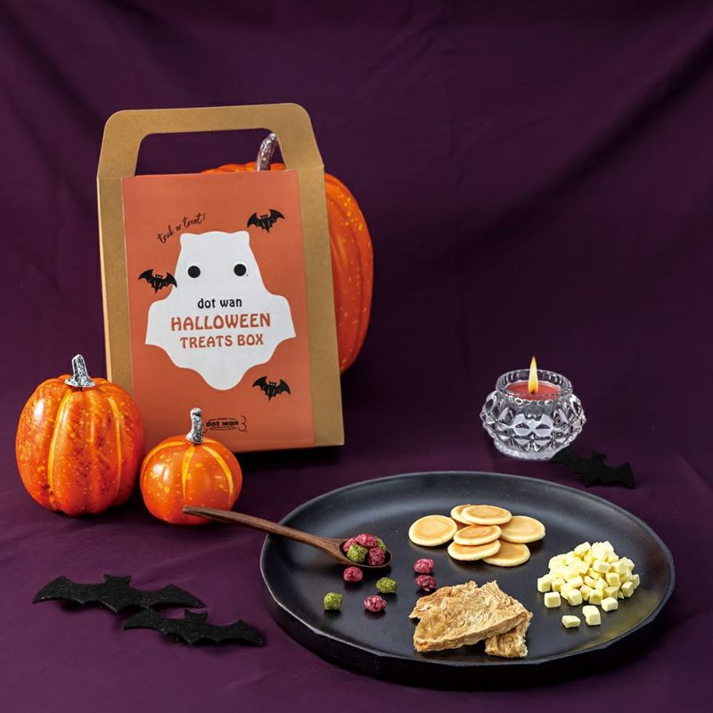 【期間限定値下げ】6/26まで　DONUT BUN-01 予約販売：2025年8月中 お届け予定】<期間限定受付>CHUZTING